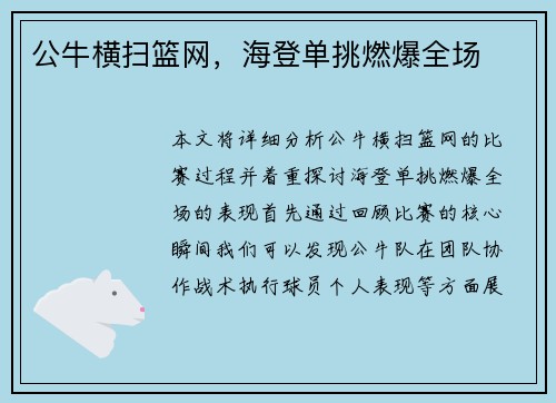公牛横扫篮网，海登单挑燃爆全场