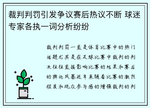 裁判判罚引发争议赛后热议不断 球迷专家各执一词分析纷纷